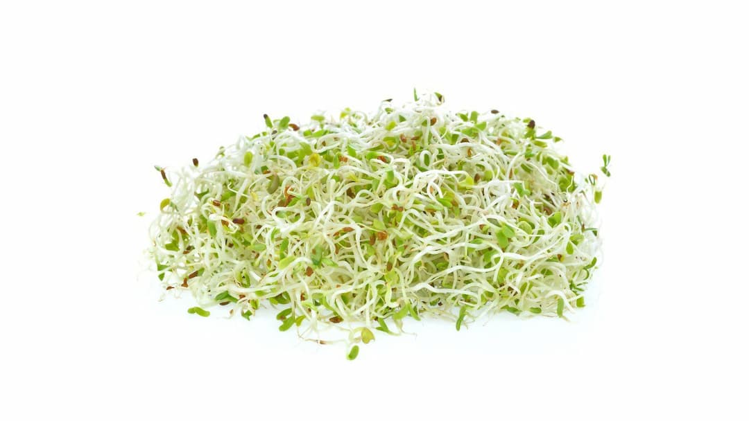 Экстракт люцерны