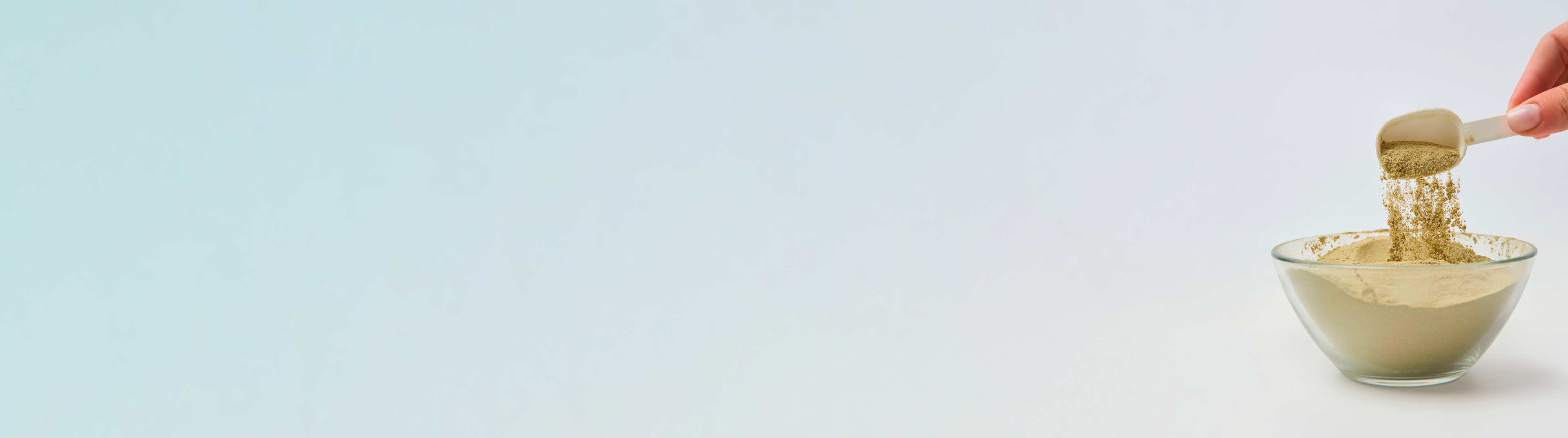 Bottom BG